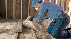 Best Commercial Insulation Services  in La Huerta, NM